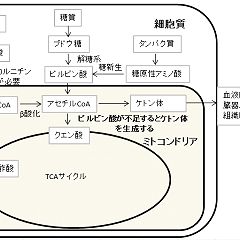 24位のイメージ