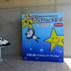 20位のイメージ