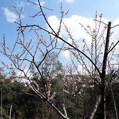 160位のイメージ