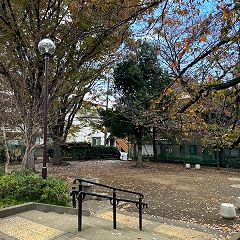 11位のイメージ