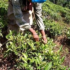 206位のイメージ