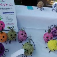 11位のイメージ