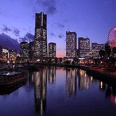 41位のイメージ