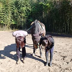 14位のイメージ