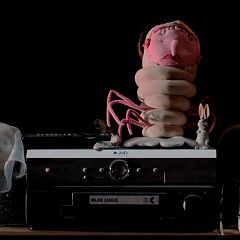 41位のイメージ