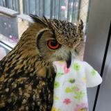 90位のイメージ