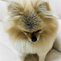 56位のイメージ