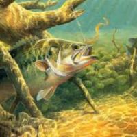 23位のイメージ