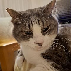 31位のイメージ