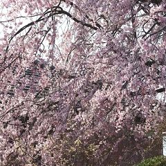 19位のイメージ