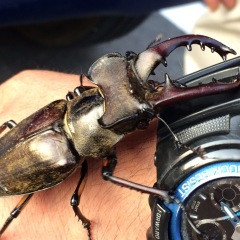 28位のイメージ