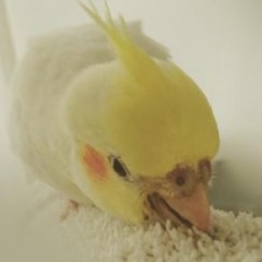 42位のイメージ