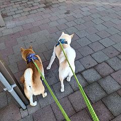 10位のイメージ