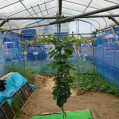 69位のイメージ