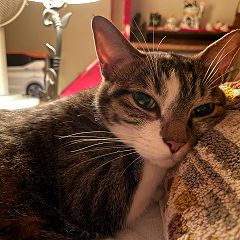 34位のイメージ