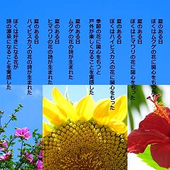 10位のイメージ