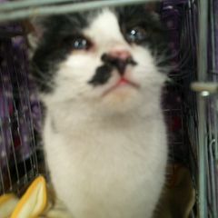 21位のイメージ