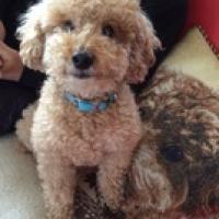 29位のイメージ