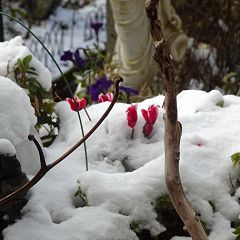 19位のイメージ