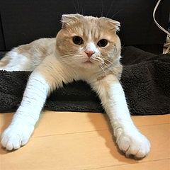 29位のイメージ