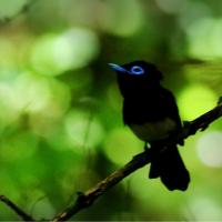 29位のイメージ