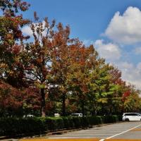 12位のイメージ