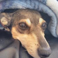 24位のイメージ