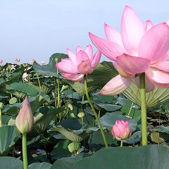 22位のイメージ