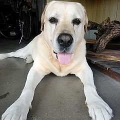 44位のイメージ