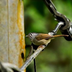 21位のイメージ