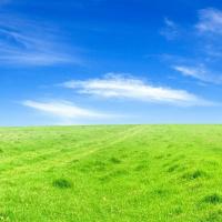 130位のイメージ