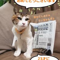 16位のイメージ