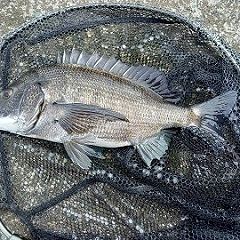 42位のイメージ