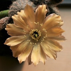 18位のイメージ