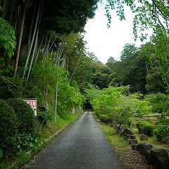 55位のイメージ