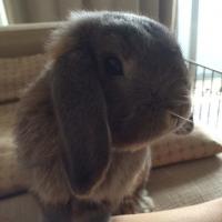 78位のイメージ