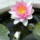 107位のイメージ