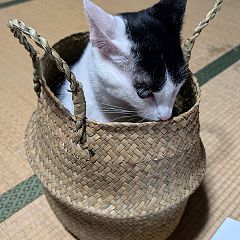 18位のイメージ