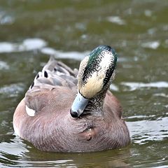 149位のイメージ