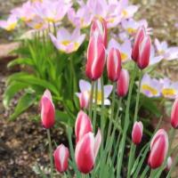 45位のイメージ