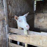 20位のイメージ