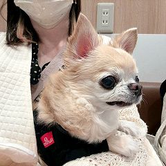 66位のイメージ