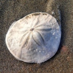 89位のイメージ