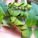 82位のイメージ