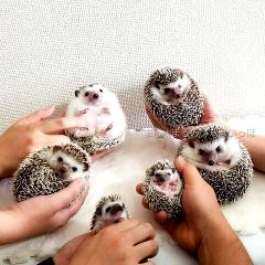 16位のイメージ