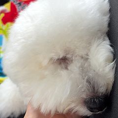 52位のイメージ