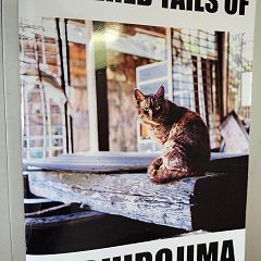 26位のイメージ