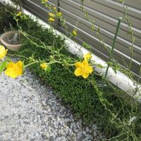 68位のイメージ