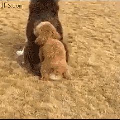 10位のイメージ