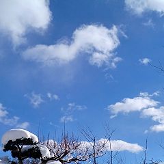 14位のイメージ